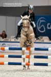 Cavaliada 2011