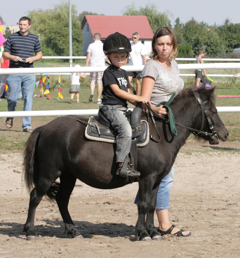 oprowadzanki%20na%20kucykach.jpg